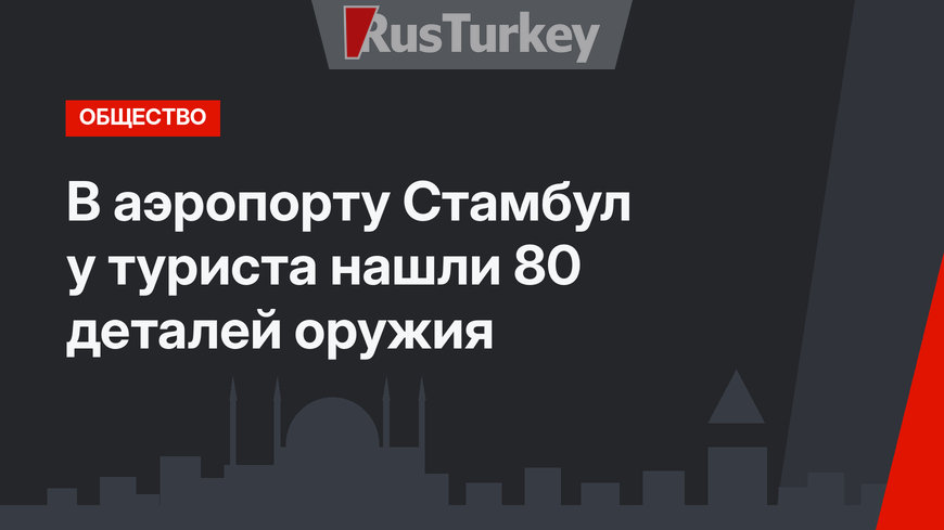 В аэропорту Стамбул у туриста нашли 80 деталей оружия