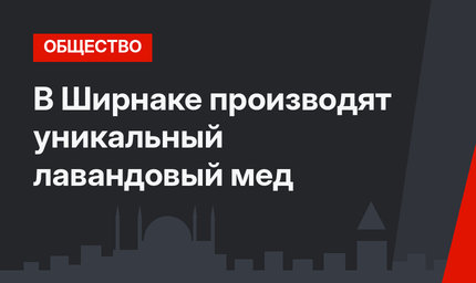 В Ширнаке производят уникальный лавандовый мед