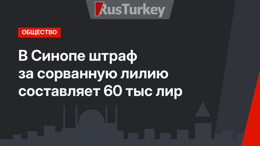 В Синопе штраф за сорванную лилию составляет 60 тыс лир