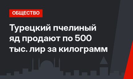 Турецкий пчелиный яд продают по 500 тыс. лир за килограмм