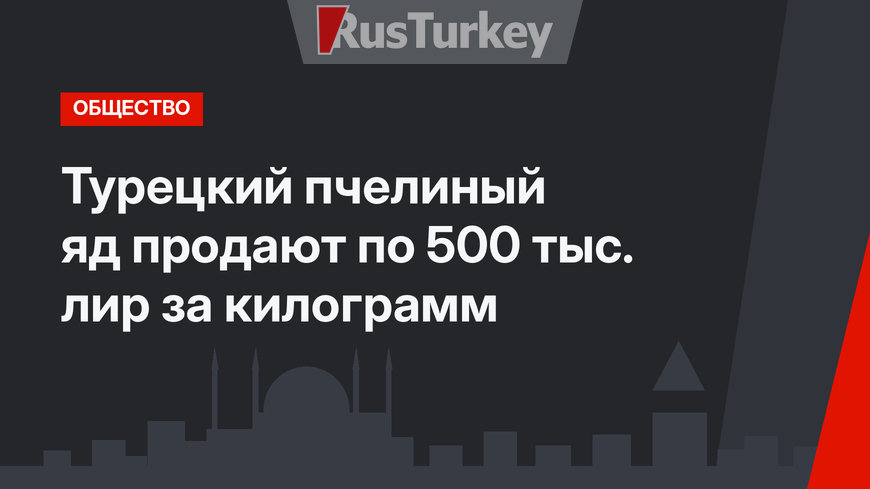 Турецкий пчелиный яд продают по 500 тыс. лир за килограмм