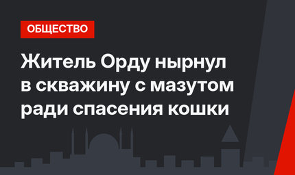  Житель Орду нырнул в скважину с мазутом ради спасения кошки