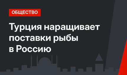 Турция наращивает поставки рыбы в Россию