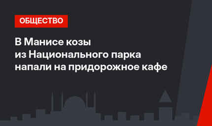 В Манисе козы из Национального парка напали на придорожное кафе
