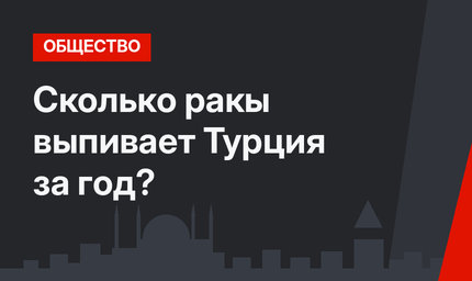 Cколько ракы выпивает Турция за год? 