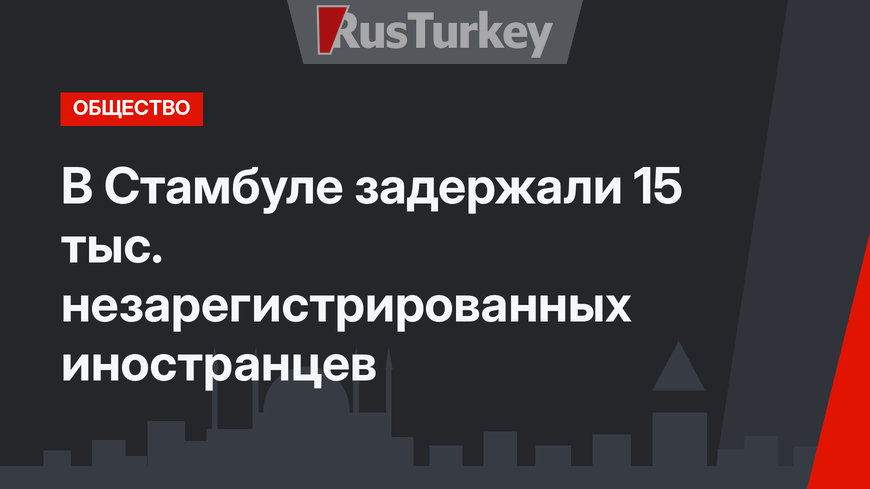В Стамбуле задержали 15 тыс. незарегистрированных иностранцев