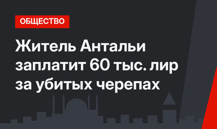 Житель Антальи заплатит 60 тыс. лир за убитых черепах