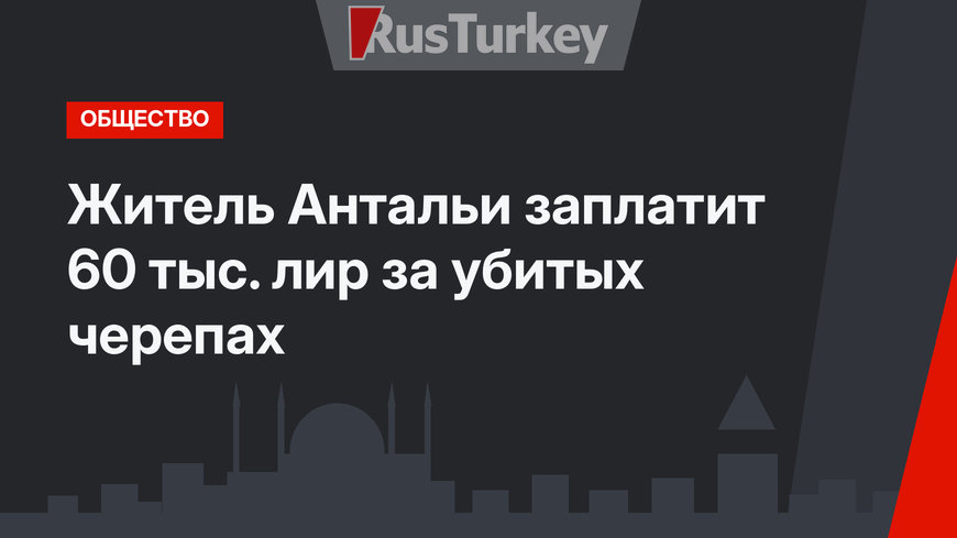 Житель Антальи заплатит 60 тыс. лир за убитых черепах