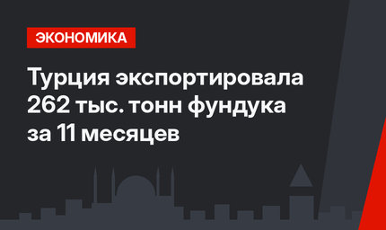 Турция экспортировала 262 тыс. тонн фундука за 11 месяцев 