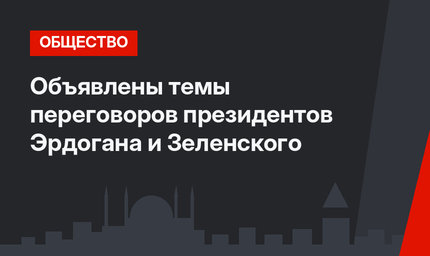 Объявлены темы переговоров президентов Эрдогана и Зеленского