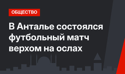 В Анталье состоялся футбольный матч верхом на ослах