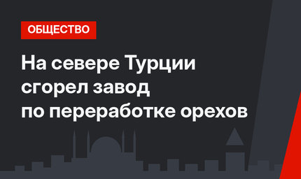 На севере Турции сгорел завод по переработке орехов