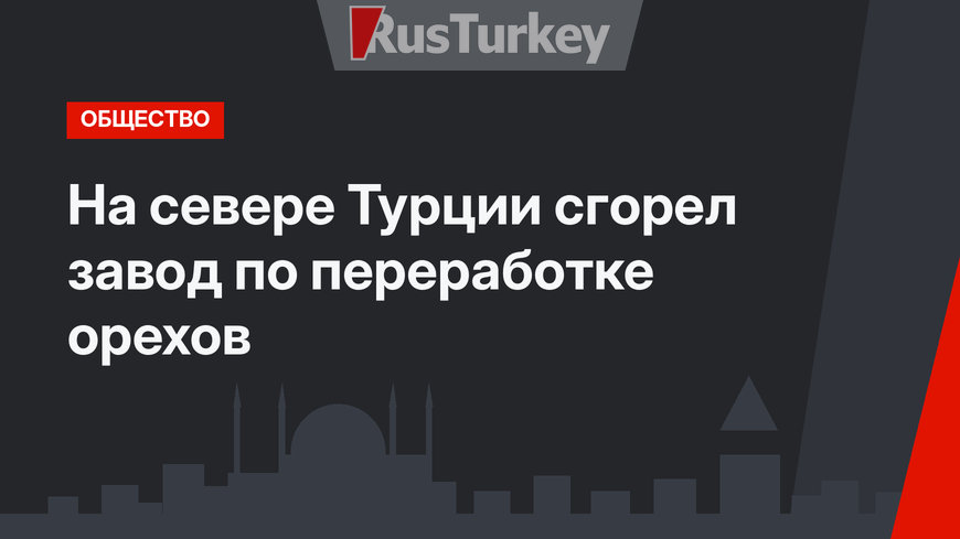 На севере Турции сгорел завод по переработке орехов