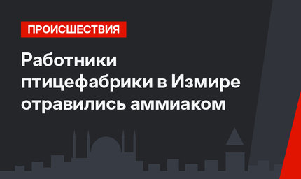 Работники птицефабрики в Измире отравились аммиаком