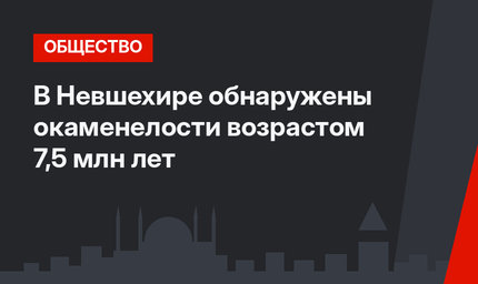 В Невшехире обнаружены окаменелости возрастом 7,5 млн лет