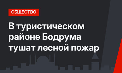 В туристическом районе Бодрума тушат лесной пожар