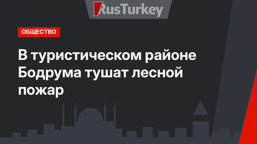 В туристическом районе Бодрума тушат лесной пожар