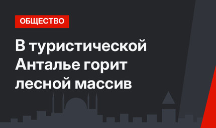 В туристической Анталье горит лесной массив