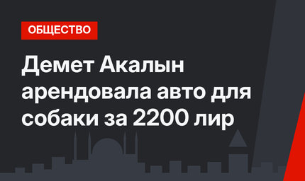 Демет Акалын арендовала авто для собаки за 2200 лир