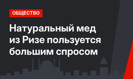 Натуральный мед из Ризе пользуется большим спросом