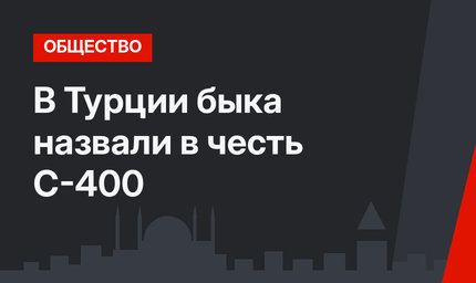 В Турции быка назвали в честь С-400