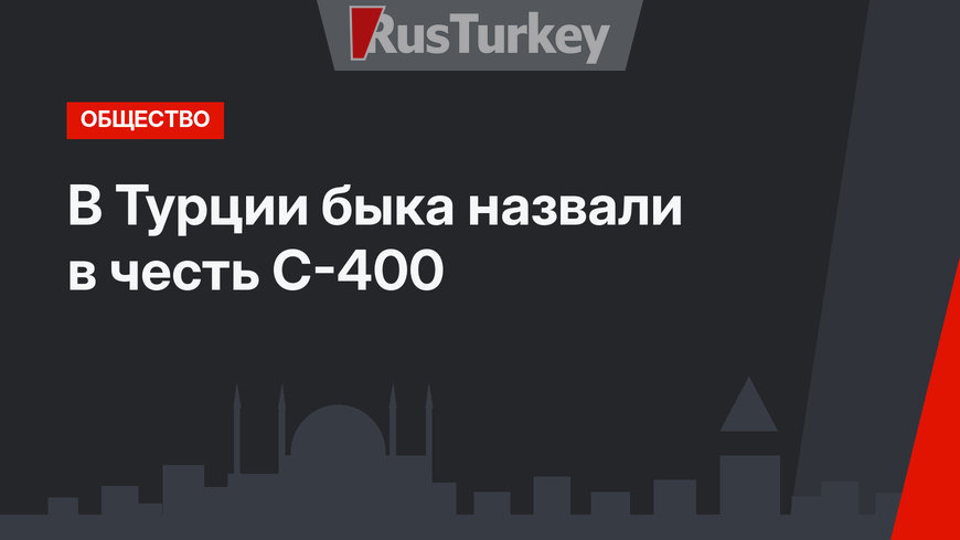 В Турции быка назвали в честь С-400