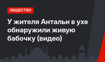 У жителя Антальи в ухе обнаружили живую бабочку (видео)