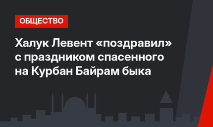 Халук Левент «поздравил» с праздником спасенного на Курбан Байрам быка