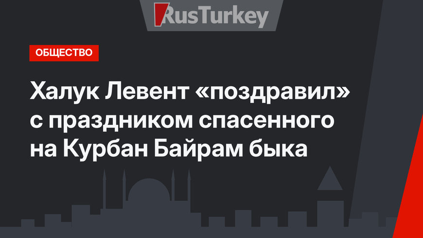 Халук Левент «поздравил» с праздником спасенного на Курбан Байрам быка
