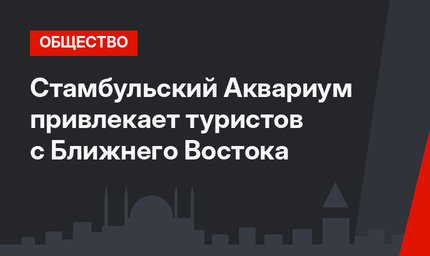  Стамбульский Аквариум привлекает туристов с Ближнего Востока