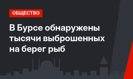 В Бурсе обнаружены тысячи выброшенных на берег рыб