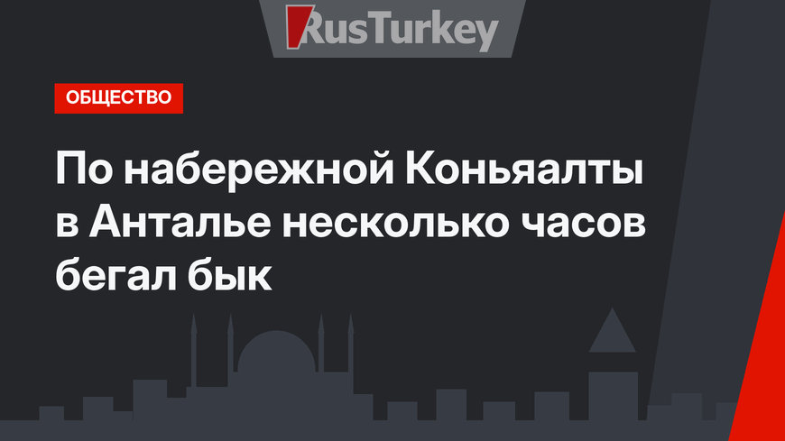 По набережной Коньяалты в Анталье несколько часов бегал бык