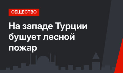 На западе Турции бушует лесной пожар