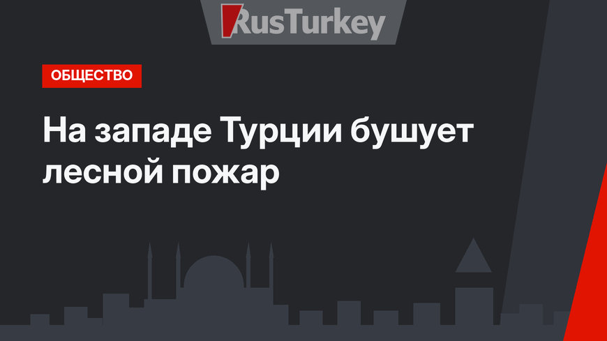 На западе Турции бушует лесной пожар