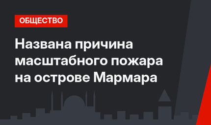 Названа причина масштабного пожара на острове Мармара
