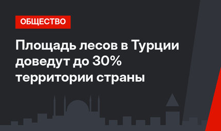 Площадь лесов в Турции доведут до 30% территории страны
