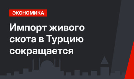 Импорт живого скота в Турцию сокращается