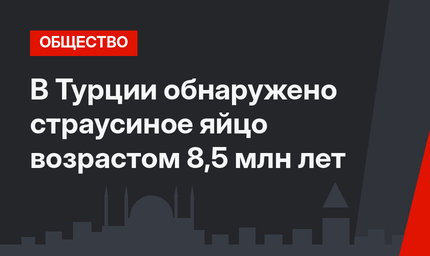 В Турции обнаружено страусиное яйцо возрастом 8,5 млн лет