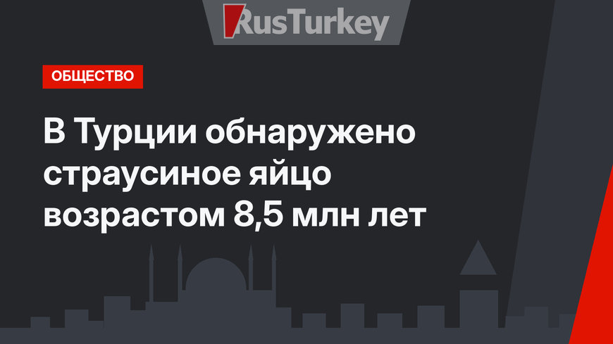 В Турции обнаружено страусиное яйцо возрастом 8,5 млн лет
