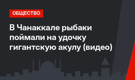 В Чанаккале рыбаки поймали на удочку гигантскую акулу (видео)