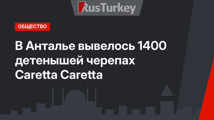 В Анталье вывелось 1400 детенышей черепах Caretta Caretta