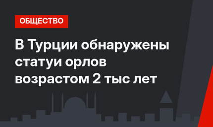 В Турции обнаружены статуи орлов возрастом 2 тыс лет
