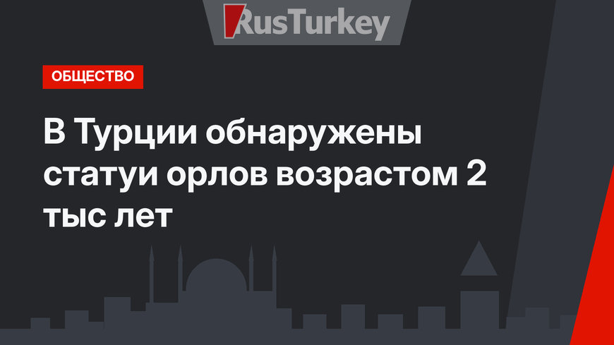 В Турции обнаружены статуи орлов возрастом 2 тыс лет
