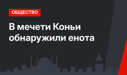  В мечети Коньи обнаружили енота