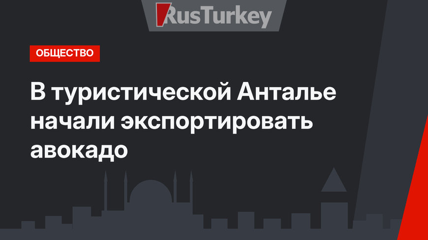 В туристической Анталье начали экспортировать авокадо