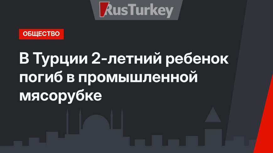 В Турции 2-летний ребенок погиб в промышленной мясорубке