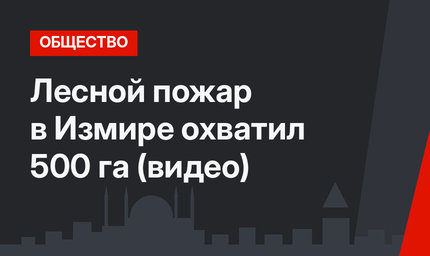 Лесной пожар в Измире охватил 500 га (видео)
