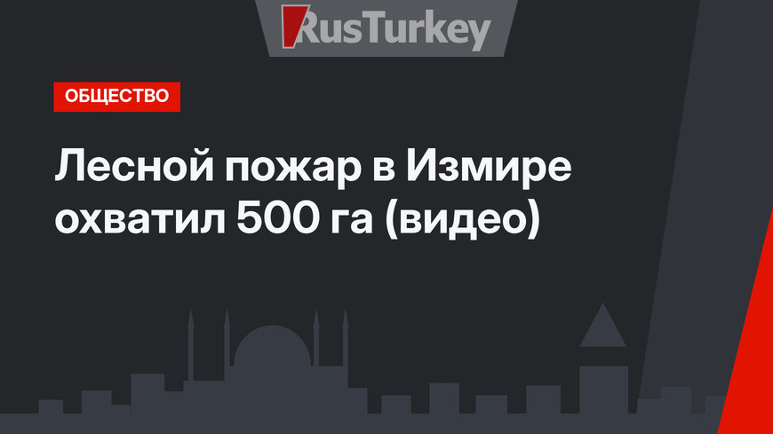 Лесной пожар в Измире охватил 500 га (видео)
