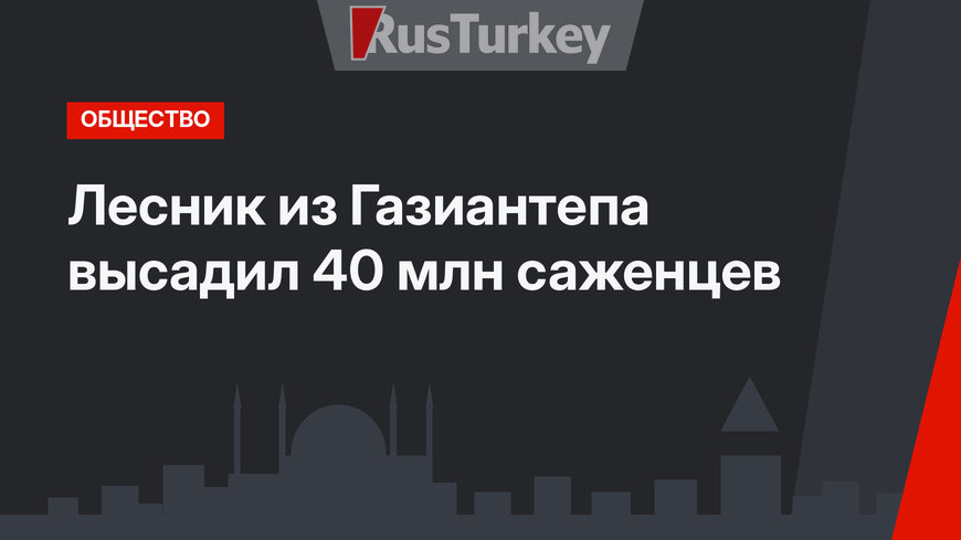 Лесник из Газиантепа высадил 40 млн саженцев