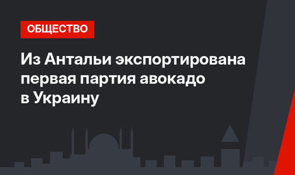 Из Антальи экспортирована первая партия авокадо в Украину